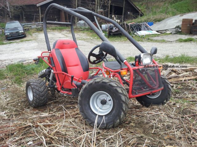 adly 125 buggy