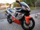1998 Yamaha  YTZ Thundercat Motorcycle Sports/Super Sports Bike photo 1