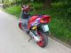 2000 Derbi  Festina Predetor Motorcycle Motor-assisted Bicycle/Small Moped photo 1