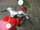 1966 Ducati  350 S racing machine Motorcycle Racing photo 5