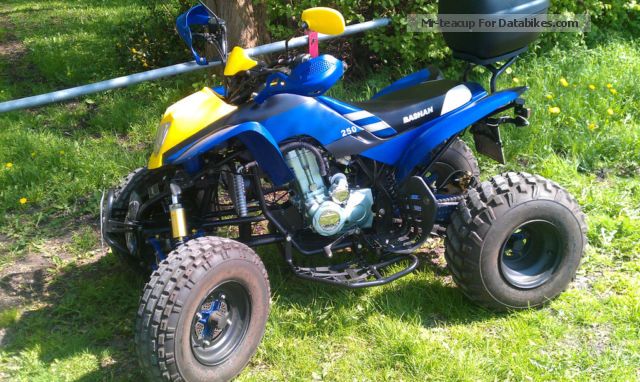2009 Bashan  ATV 250 S-11B Motorcycle Quad photo
