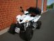 2011 Dinli  DL 904 Motorcycle Quad photo 1