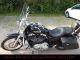 2006 Harley Davidson  Harley-Davidson Super Low XL1200L Motorcycle Chopper/Cruiser photo 3