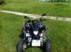2009 Dinli  Trasher Motorcycle Quad photo 3