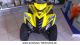 2013 Dinli  Kinderquad Cobia 50cc 4-stroke Motorcycle Quad photo 1