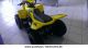 2013 Dinli  Kinderquad Cobia 50cc 4-stroke Motorcycle Quad photo 3