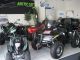 2013 GOES  520 * Max wheel drive / winch / towbar / Diff. / Unters. * Motorcycle Quad photo 9
