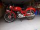 1953 Benelli  Leoncino 125 Motorcycle Motorcycle photo 1