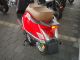 2012 Motowell  RedRosa 4T Red 4.Jahre warranty Motorcycle Scooter photo 8