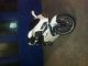 2012 Herkules  125r Motorcycle Motor-assisted Bicycle/Small Moped photo 1