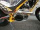 2012 Sherco  ST 300 Cabestany replica, 2T, Trial Motorcycle Enduro/Touring Enduro photo 7