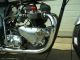 1954 BSA  Triauthentic cafe racer Motorcycle Sports/Super Sports Bike photo 2