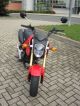 2013 Honda  MSX125 Motorcycle Naked Bike photo 7