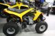 2012 BRP  Can-Am DS 250 NEW Motorcycle Quad photo 4