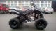 Dinli  Rookie 300 engine noise, but ready to ride! 2012 Quad photo