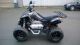 2012 Dinli  Rookie 300 engine noise, but ready to ride! Motorcycle Quad photo 1