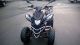 2012 Dinli  Rookie 300 engine noise, but ready to ride! Motorcycle Quad photo 3