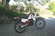 1984 Honda  MTX 80 Motorcycle Motor-assisted Bicycle/Small Moped photo 2