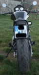 2003 Buell  M2 one of the last!! Motorcycle Naked Bike photo 2