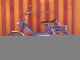 Puch  Maxi 2K 1976 Motor-assisted Bicycle/Small Moped photo