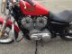 2010 Harley Davidson  Harley-Davidson sporty 883 ... purchase all motorcycles .. Motorcycle Chopper/Cruiser photo 2