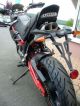 2012 Hercules  Megelli 125 Supermoto Motorcycle Lightweight Motorcycle/Motorbike photo 7