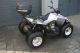 2006 E-Ton  VXL-250 Motorcycle Quad photo 3