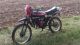 1984 Puch  Ranger TT 25 Motorcycle Motor-assisted Bicycle/Small Moped photo 1