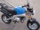 Skyteam  ST 50 2003 Motor-assisted Bicycle/Small Moped photo