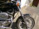 1997 Harley Davidson  Harley-Davidson XL 883 Motorcycle Motorcycle photo 12