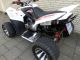 2014 Adly  Hercules Hurricane 320SM mint condition GREAT PRICE Motorcycle Quad photo 4