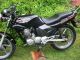 1996 Honda  CBZ 125 F Motorcycle Lightweight Motorcycle/Motorbike photo 1