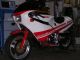 1983 Bimota  sb4 Motorcycle Sports/Super Sports Bike photo 1