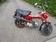1973 Honda  Dax ST 50 G Motorcycle Motor-assisted Bicycle/Small Moped photo 2