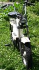 1980 Gilera  EC1 Motorcycle Motor-assisted Bicycle/Small Moped photo 4