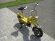 1972 DKW  25 MINI MOFA Motorcycle Motor-assisted Bicycle/Small Moped photo 1
