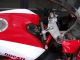 2013 Ducati  1098 Motorcycle Motorcycle photo 3