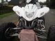 2009 Dinli  904 Motorcycle Quad photo 1