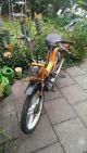 1984 Puch  super maxi lg2 Motorcycle Motor-assisted Bicycle/Small Moped photo 1
