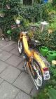 1984 Puch  super maxi lg2 Motorcycle Motor-assisted Bicycle/Small Moped photo 2