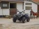 2012 Herkules  Conquest 600 & quot; TOP & quot; LOF-approval Motorcycle Quad photo 11