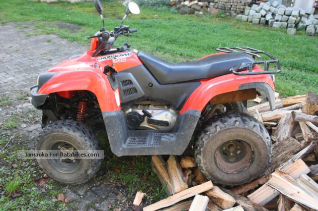 2009 Aeon  Cross Country 300 Motorcycle Quad photo