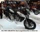 2012 MV Agusta  STRADAL EAS 800 ABS - the new Fanduro! Motorcycle Super Moto photo 4