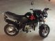 Skyteam  PBR 2011 Motor-assisted Bicycle/Small Moped photo