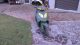 2002 Daelim  Scooter Motorcycle Scooter photo 1