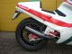 1987 Bimota  DB1 Motorcycle Sports/Super Sports Bike photo 1