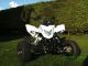 2013 Explorer  Trasher 520 Motorcycle Quad photo 3