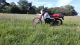 1987 Hercules  Zx1 Motorcycle Motor-assisted Bicycle/Small Moped photo 2